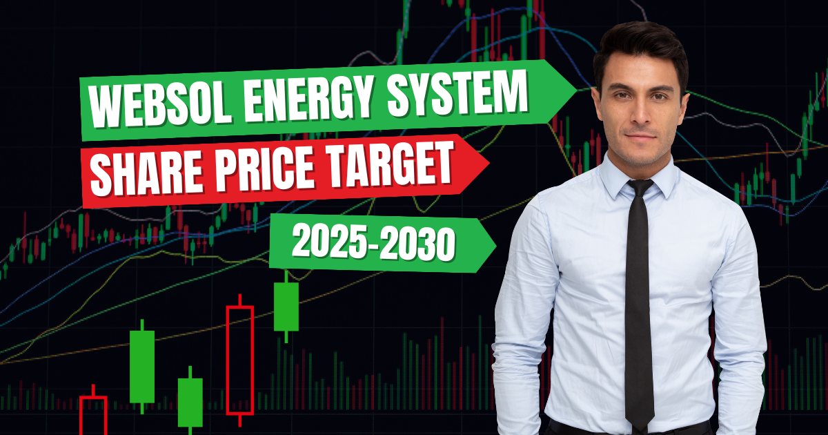 Websol Energy System Ltd Share Price Target